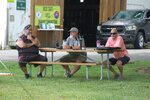 DSC_3529.JPG